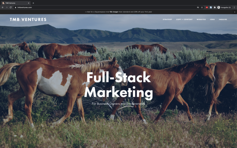 full-stack marketer for business owners